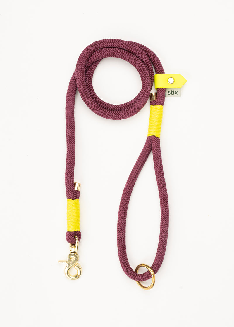 Dog Lead / Burgundy with Yellow Trim