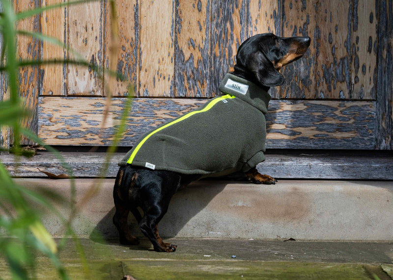 Miniature Dachshund Dog Coat
