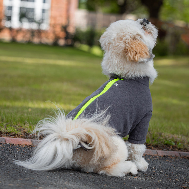 Lhasa Apso Dog Coat