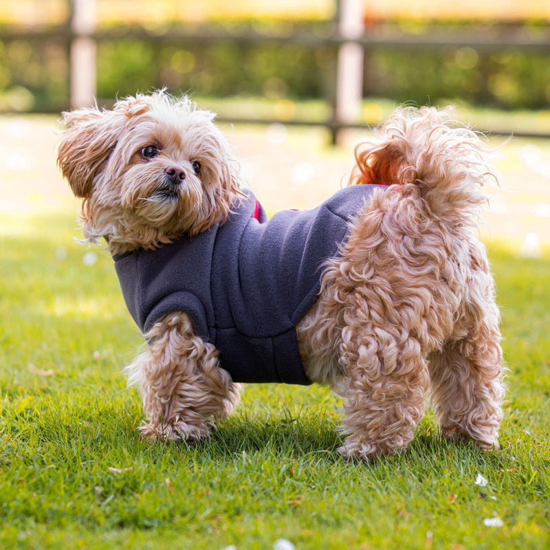 Shih Tzu Dog Coat