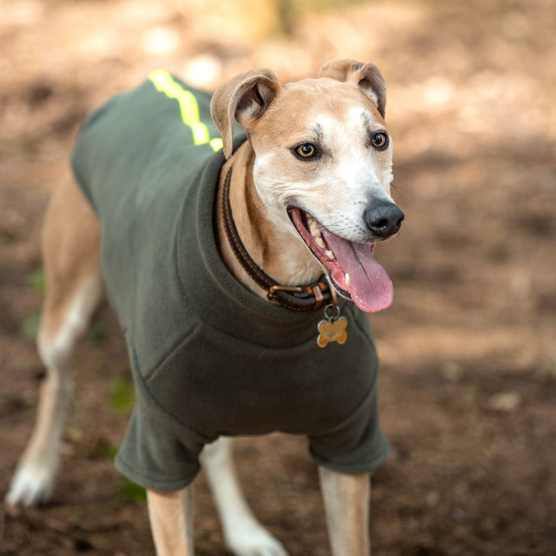 Lurcher Dog Coat