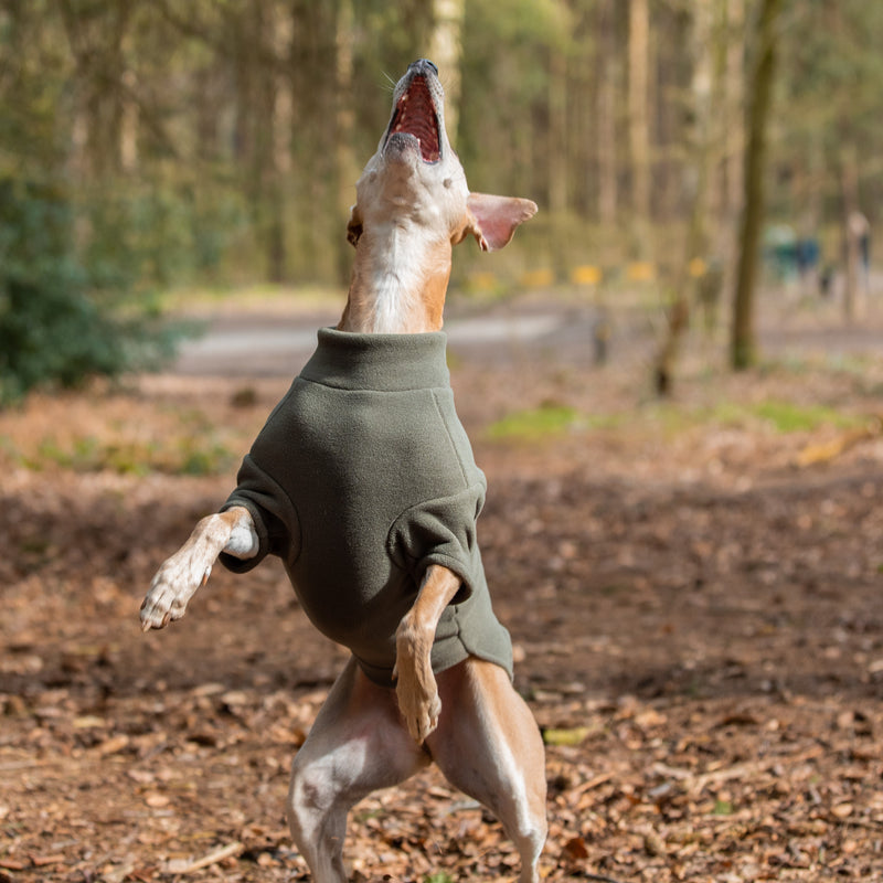 Lurcher Dog Coat