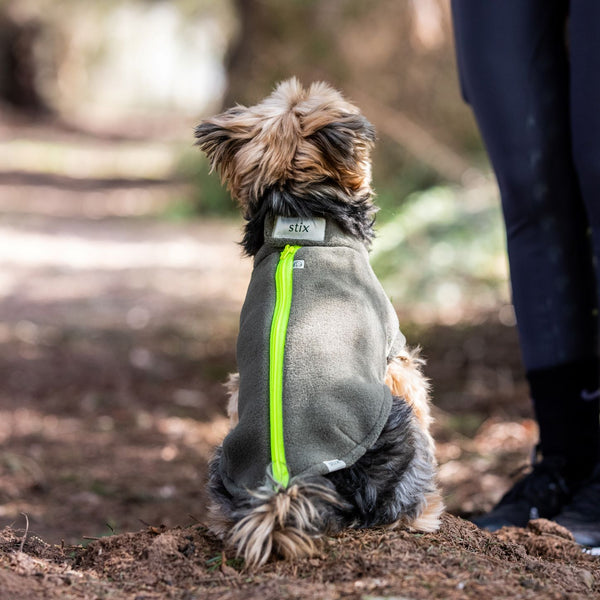 Yorkshire terrier best sale waterproof coats