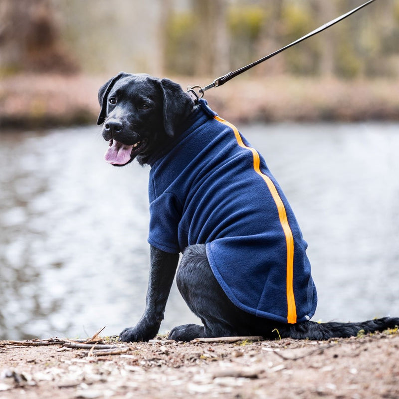 Labrador Dog Coat