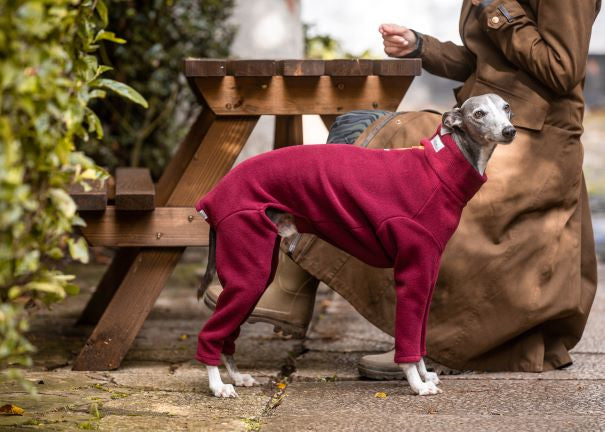 Whippet Four Legged Dog Coat