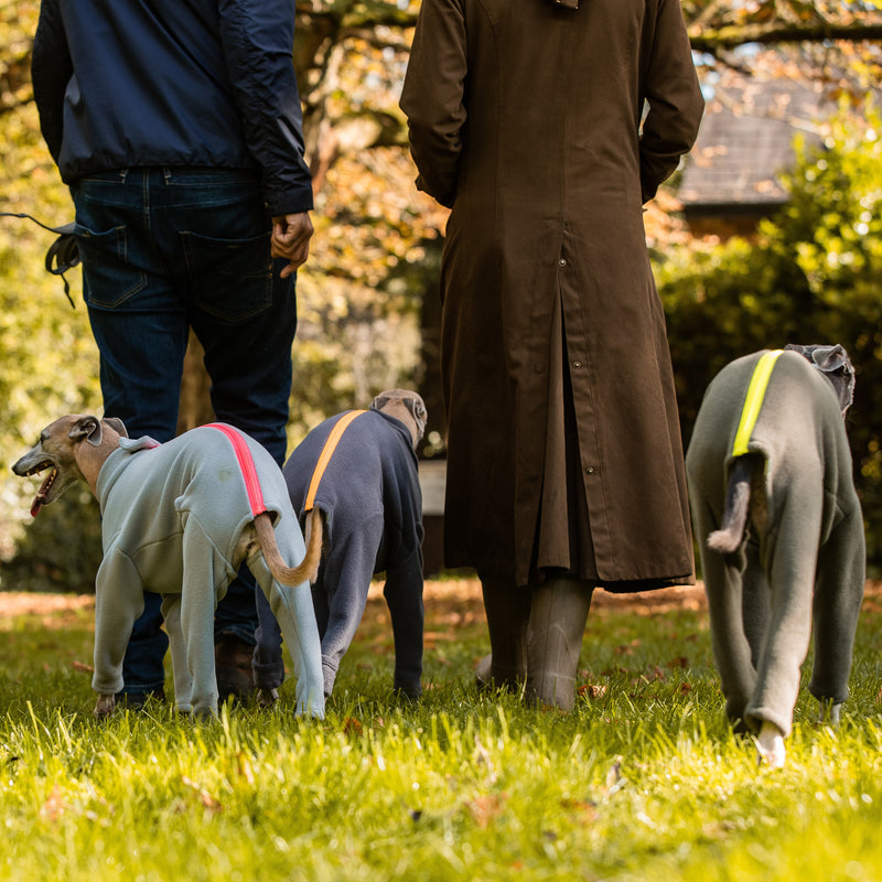 Whippet Four Legged Dog Coat