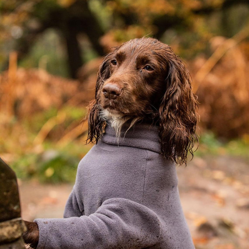 Spaniel Four Legged Dog Coat