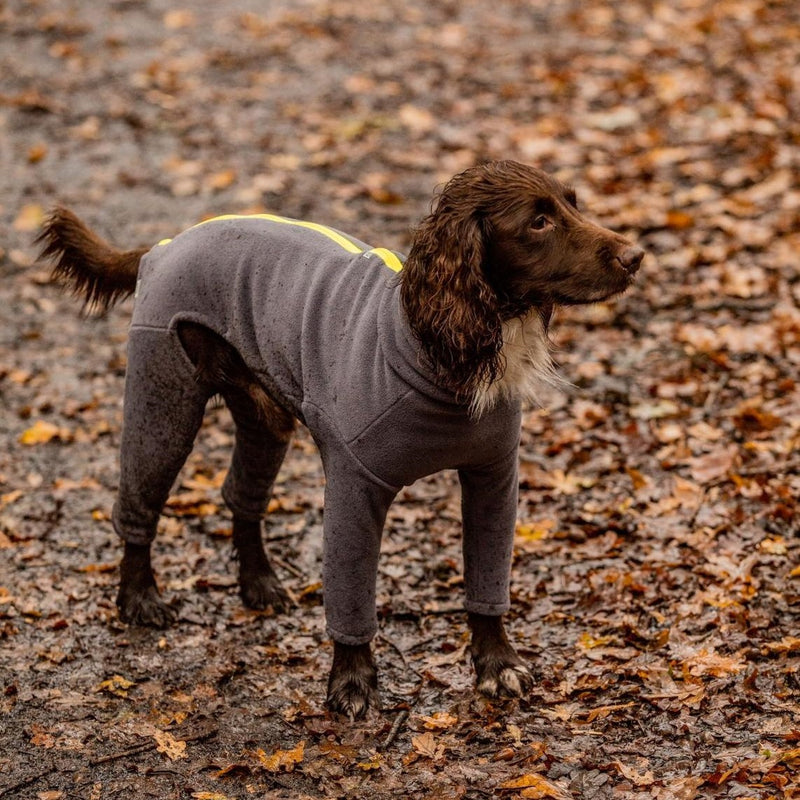 Spaniel Four Legged Dog Coat