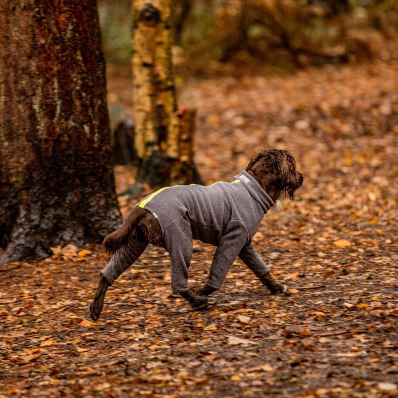 Spaniel Four Legged Dog Coat