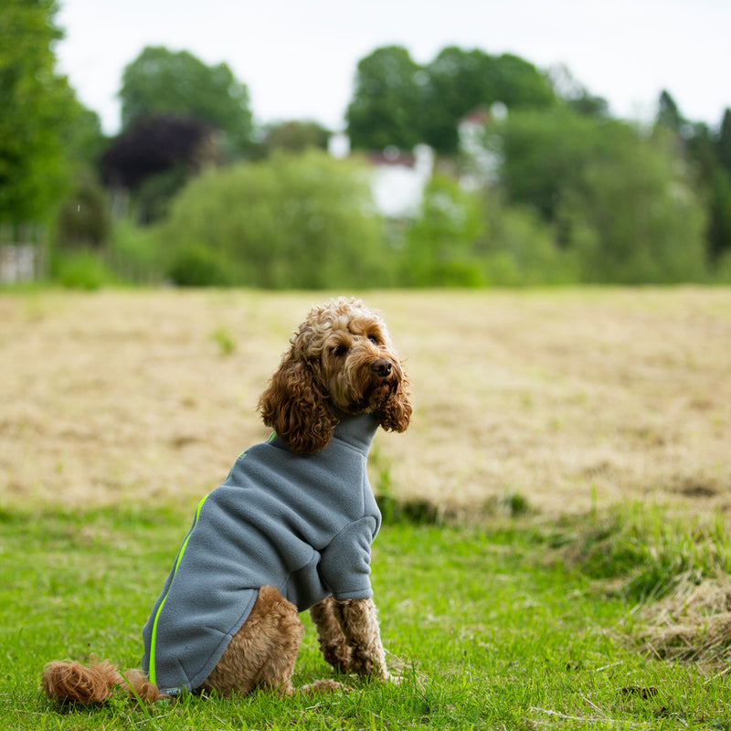 Cockapoo Dog Coat