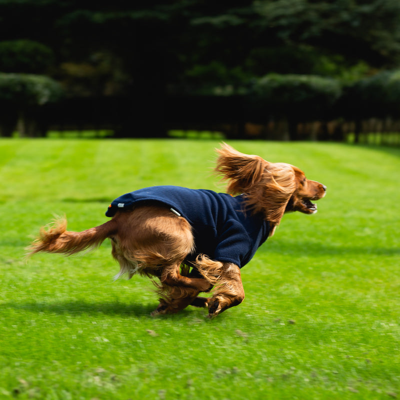 Spaniel Dog Coats