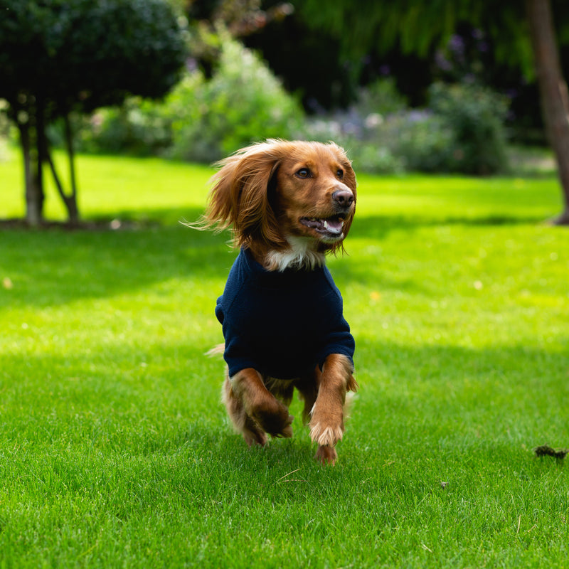 Spaniel Dog Coats