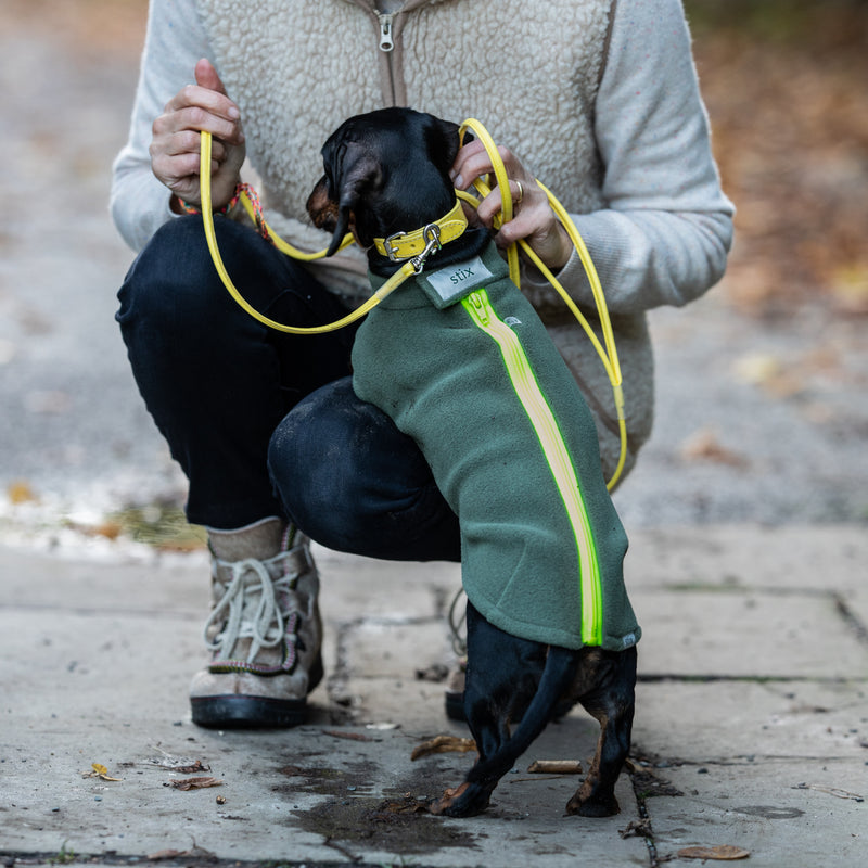 Miniature Dachshund Dog Coat