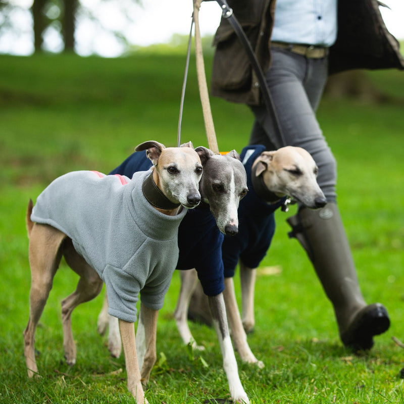 Whippet Dog Coats