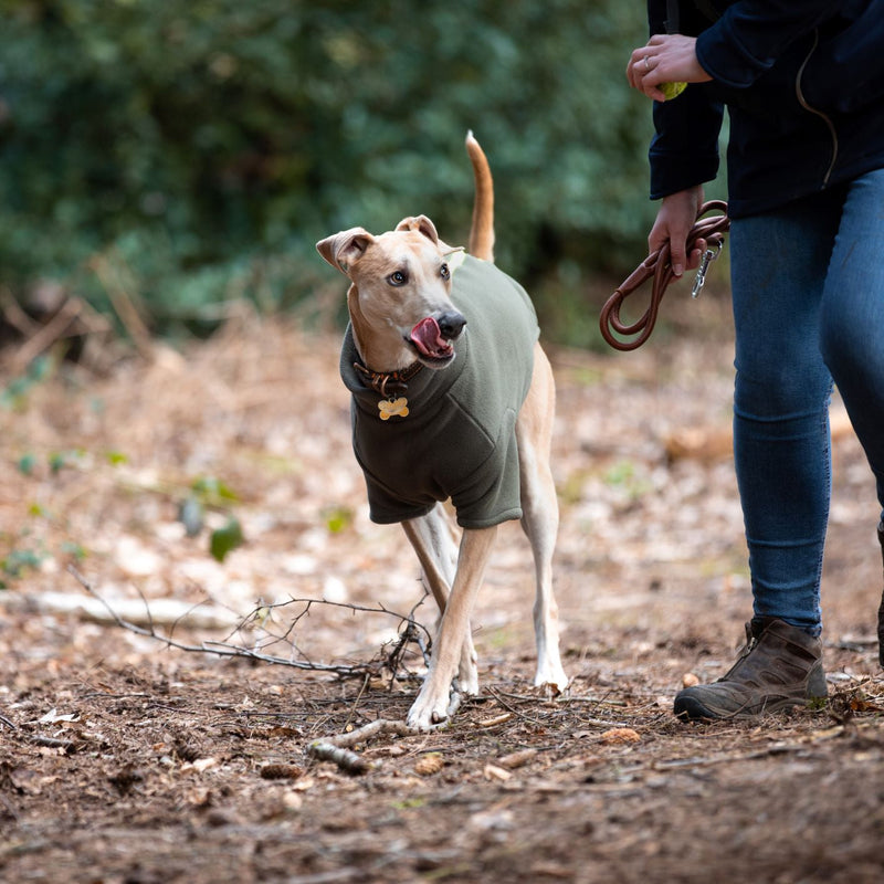 Lurcher Dog Coat