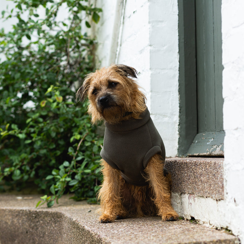 Large Terrier Dog Coat