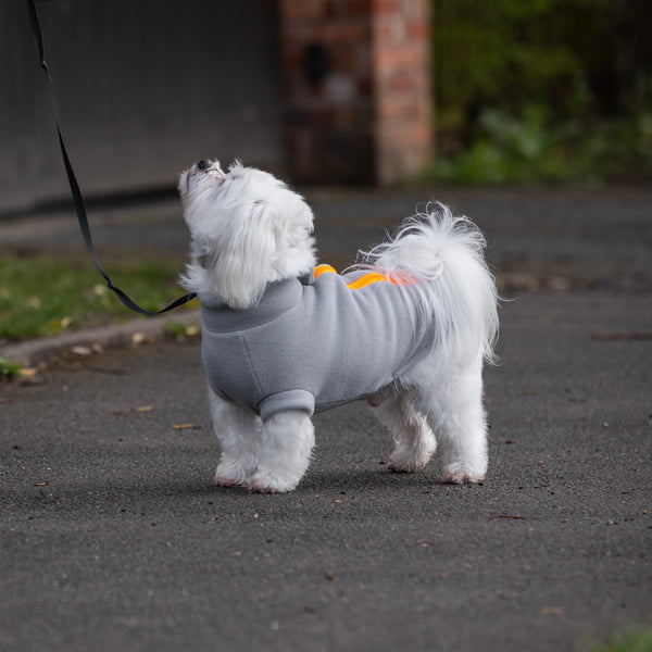 Dog Coats for Maltese Dog Coats by Stix and Co