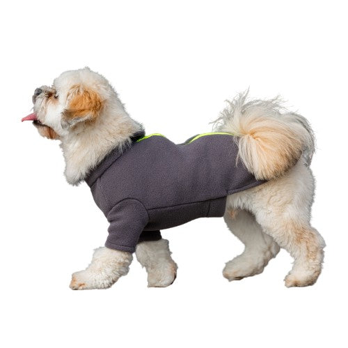 Lhasa Apso Dog Coat