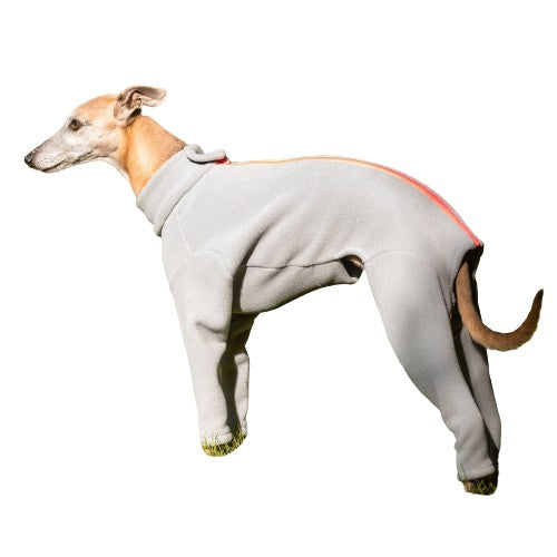 Whippet Four Legged Dog Coat