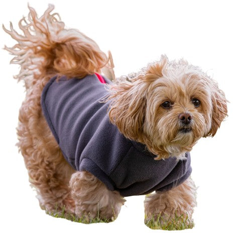 Shih Tzu Dog Coat