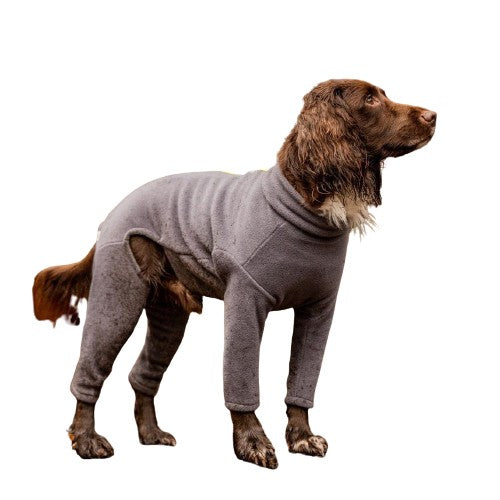 Spaniel Four Legged Dog Coat