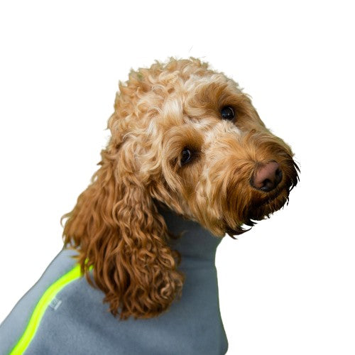 Cockapoo Dog Coat