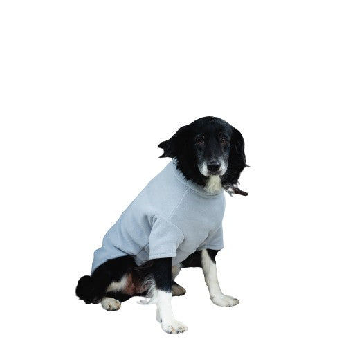 Border Collie Dog Coat
