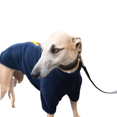 Whippet Dog Coats