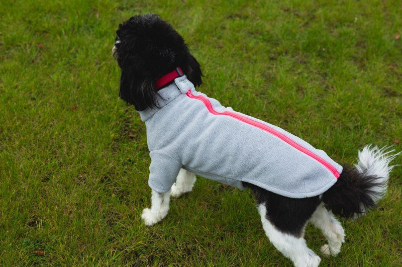 Cavapoo Dog Coat