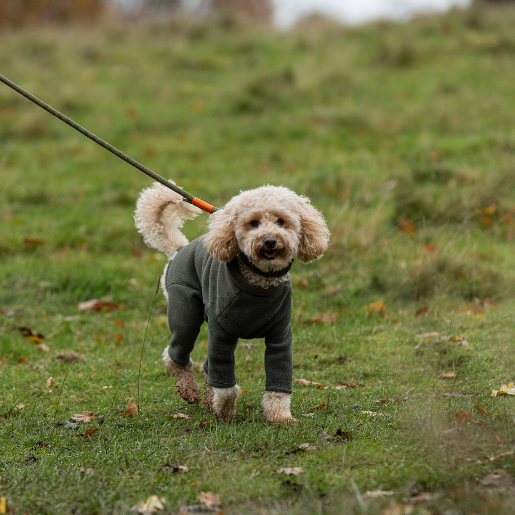 Dog Coats for Lhasa Apsos | Dog Coats by Stix and Co.