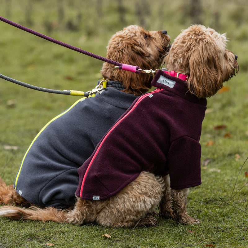 Cockapoo Dog Coat