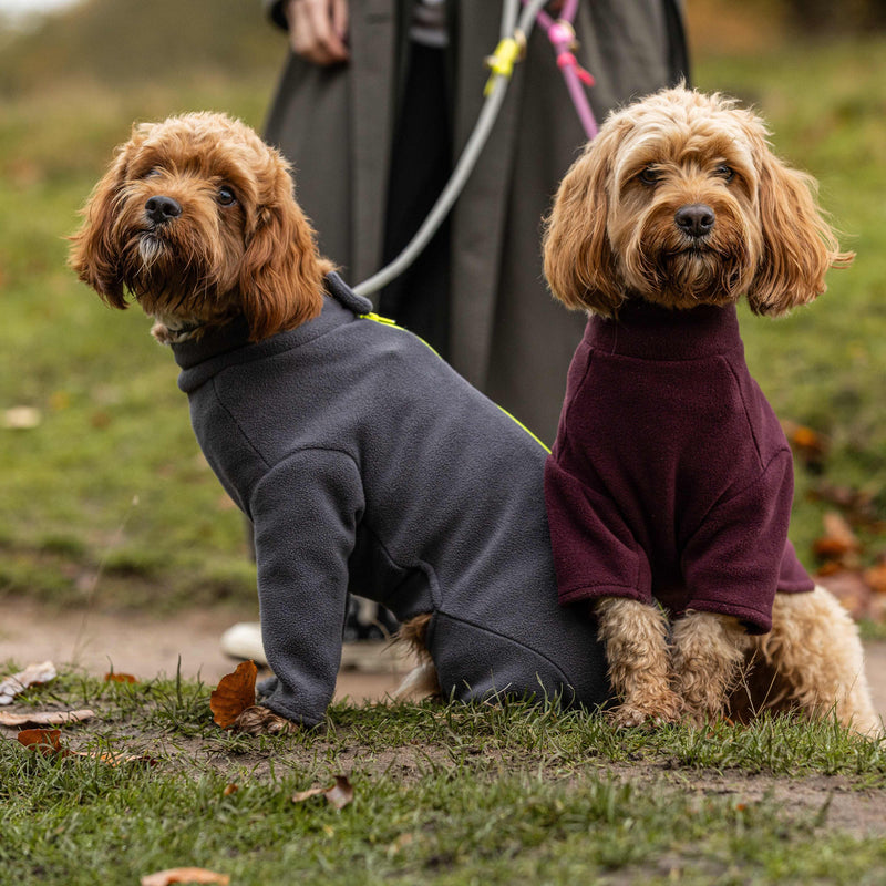Cavapoo Four Legged Dog Coat
