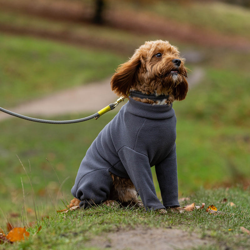 Cavapoo Four Legged Dog Coat