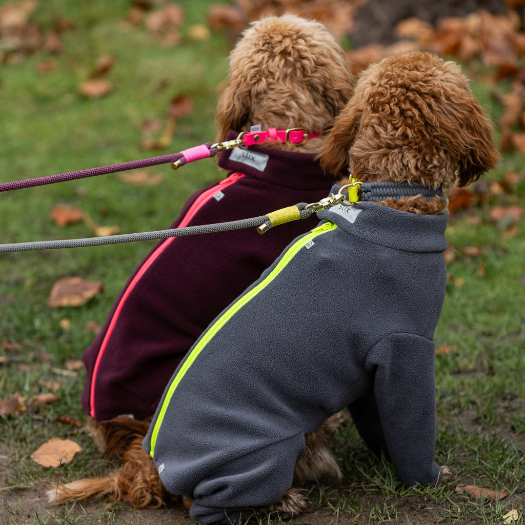 Cockapoo Four Legged Dog Coat – Stix and Co