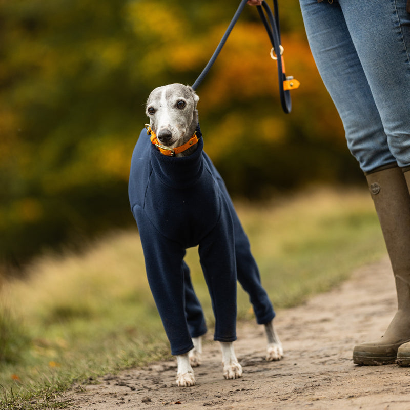 Whippet Four Legged Dog Coat