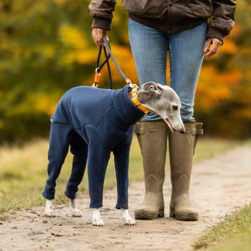 Whippet Four Legged Dog Coat