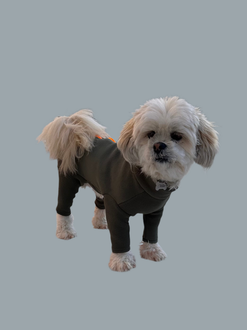 Lhasa Apso Four Legged Dog Coat