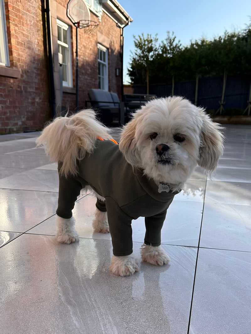 Lhasa Apso Four Legged Dog Coat