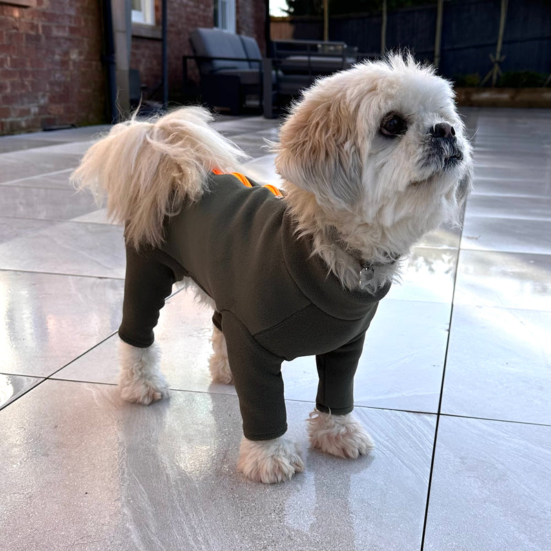 Lhasa Apso Four Legged Dog Coat