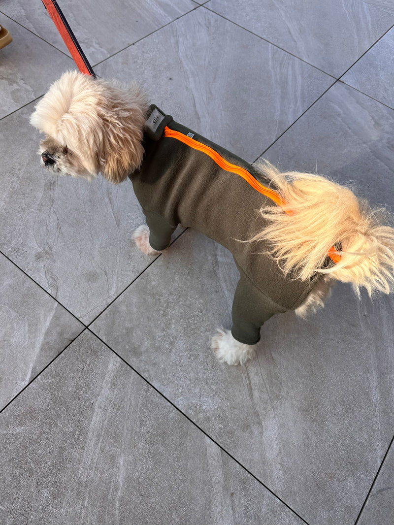 Lhasa Apso Four Legged Dog Coat