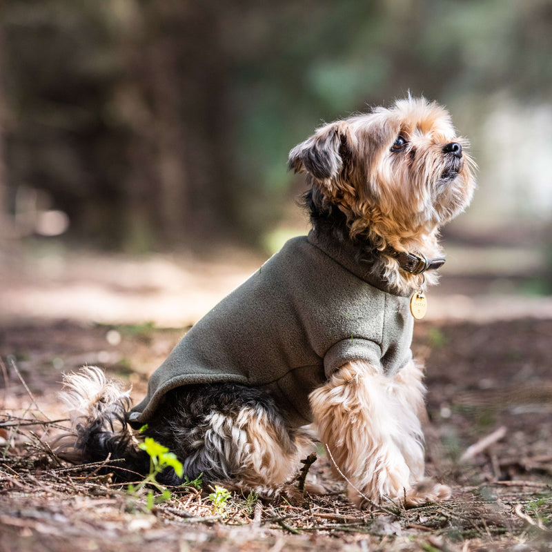 Yorkshire Terrier Dog Coat