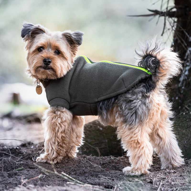 Yorkshire Terrier Dog Coat