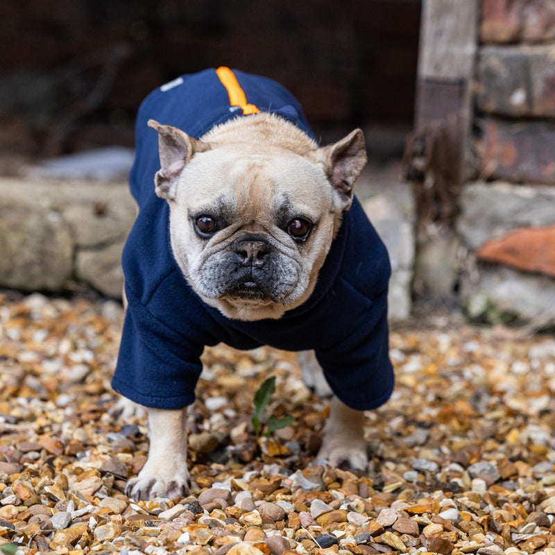 French Bulldog Dog Coat