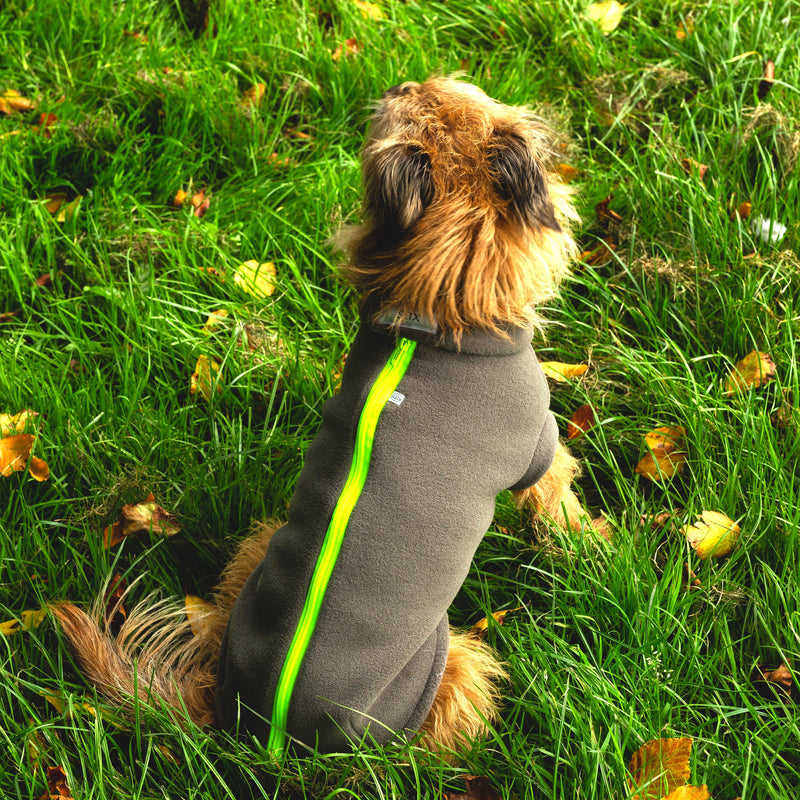 Large Terrier Dog Coat