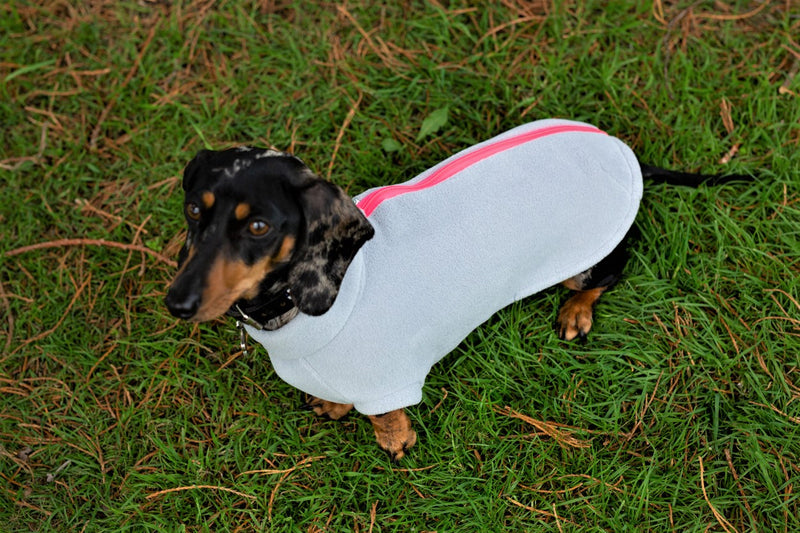 Dachshund Dog Coat