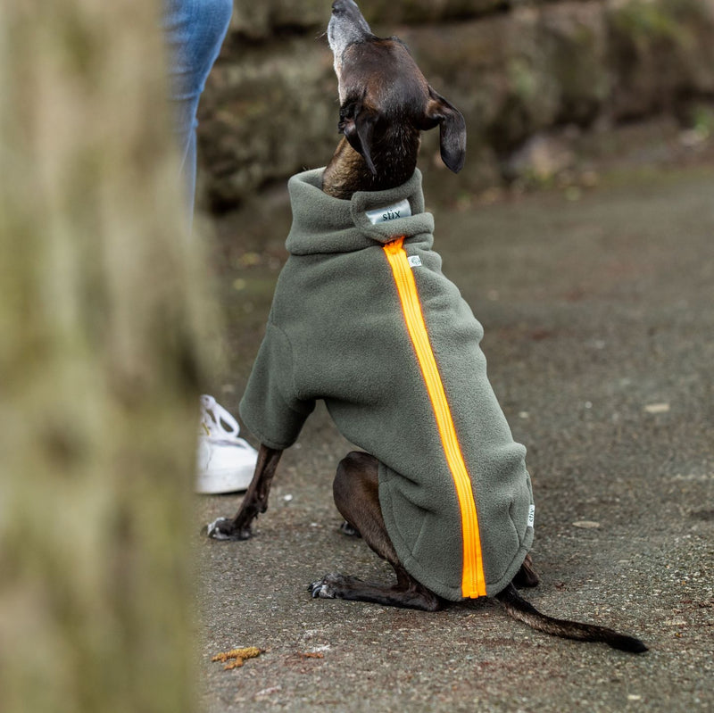 Italian Greyhound Dog Coat