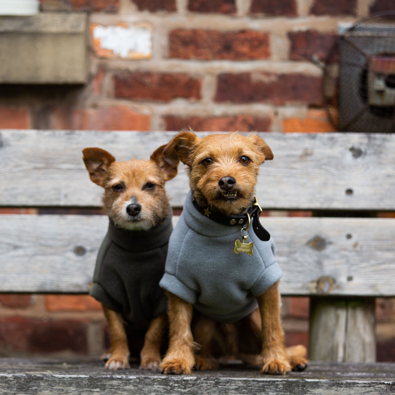 Small Terrier Dog Coat