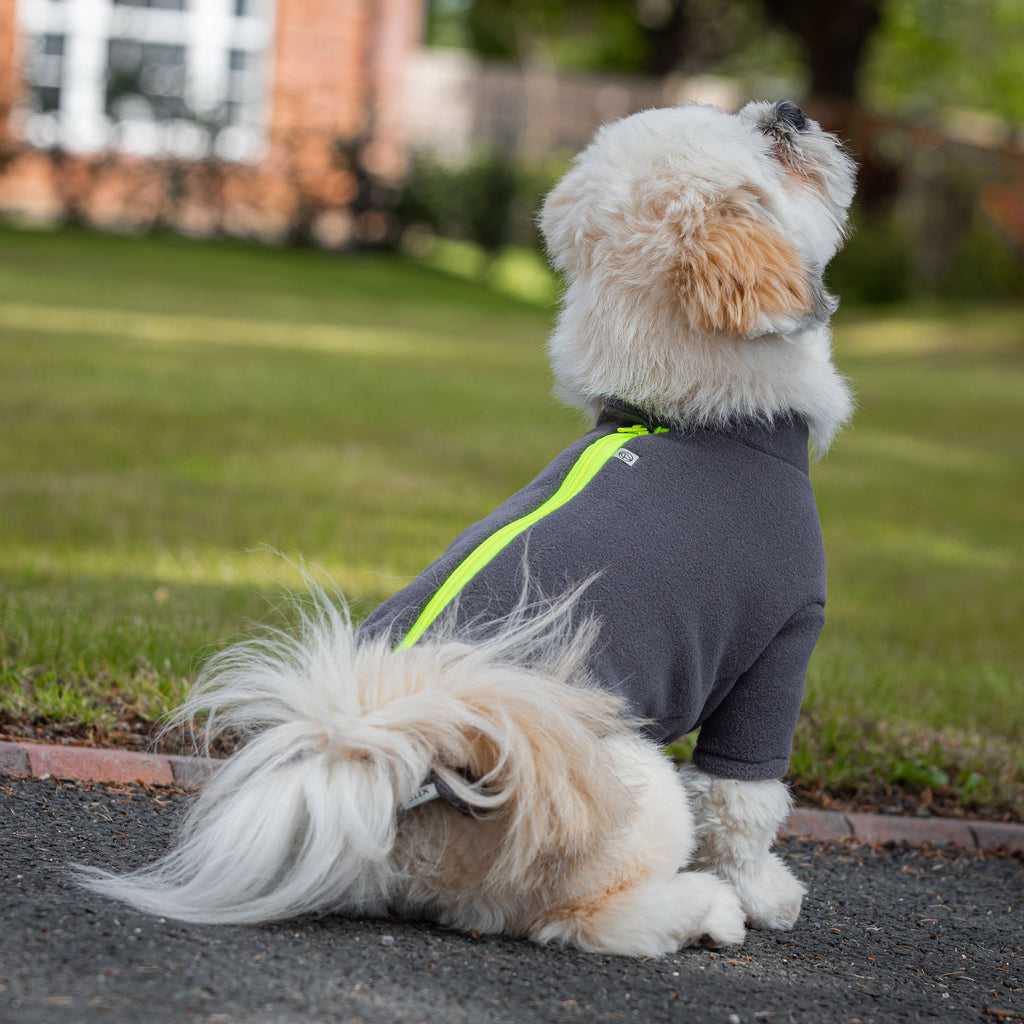 Lhasa apso dog on sale clothes