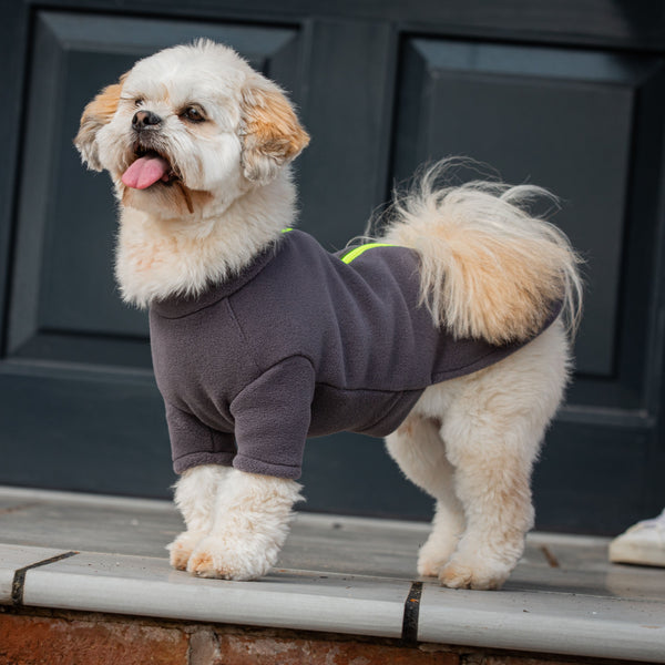 Lhasa Apso Dog Coat