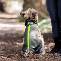 Yorkshire Terrier Dog Coat